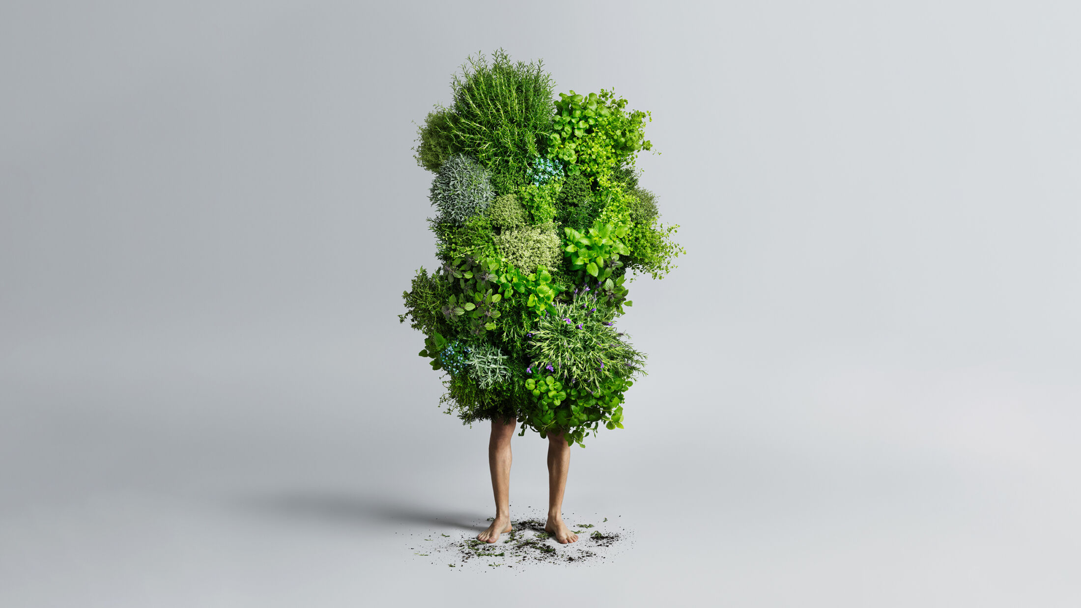 GLOBAL 2000 – Nationalpark Garten, Motiv 1 Pur; ©Studio FREUDE