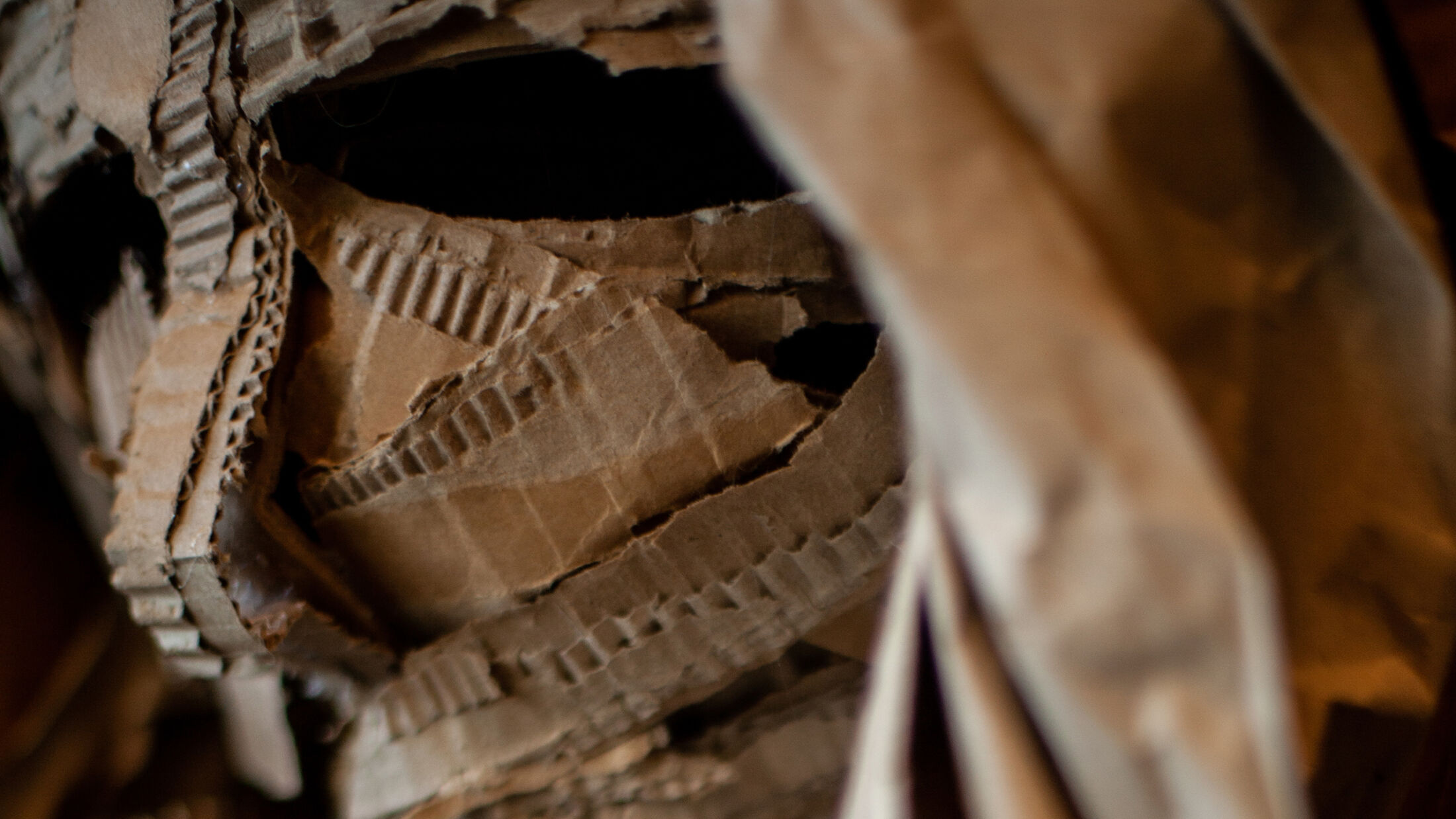 VinziRast hilft auf. Close Up einer Figur; ©Studio FREUDE