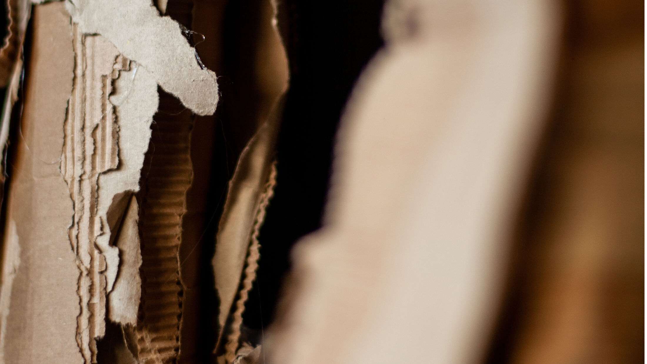 VinziRast hilft auf. Close Up einer weiteren Figur; ©Studio FREUDE